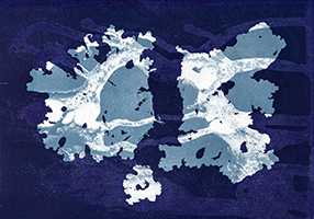 Caroline Younger: Purple and Blue Lichen, 2019