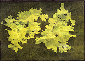 Caroline Younger: Yellow Lichens, 2019
