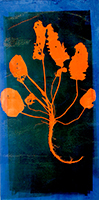 Caroline Younger: Tatty Dock Orange, 2019