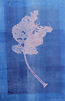 Caroline Younger: Chard Leaf 3, 2020
