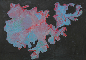 Caroline Younger: Spotted Lichen on Black, 2020