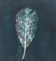 Caroline Younger: Leaf 8, 2020