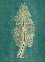 Caroline Younger: Leaf 4, 2016