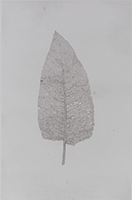 Caroline Younger: Leaf 1, 2016