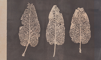Caroline Younger: Leaves 2, 2016