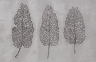 Caroline Younger: Leaves 3, 2016