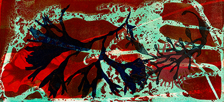 Caroline Younger: Seaweed, 2019