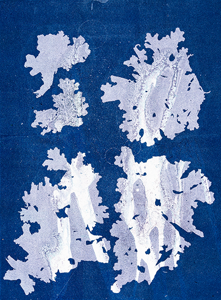 Caroline Younger: Five Mauve Lichens, 2019